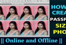 How to make Passport Size Photo Online and Offline How to make Passport Size Photo Online and Offline