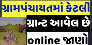 How to View Your Gram Panchayat Work Details online