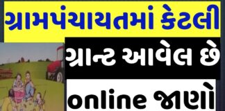 How to Check How Much Grant Issue to Gram Panchayat