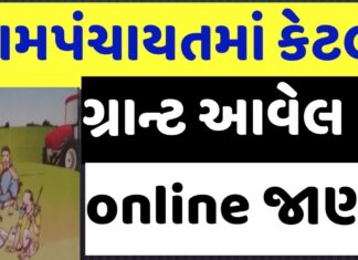 How to Check How Much Grant Issue to Gram Panchayat