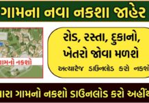 How to See Your Village HD Map Online