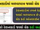 How to Check Unit of Ration Card Online