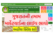 Easy Steps to Check APMC Market Yard Prices in Gujarat