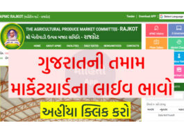 Easy Steps to Check APMC Market Yard Prices in Gujarat