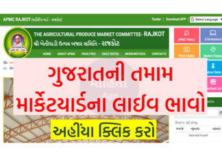 Easy Steps to Check APMC Market Yard Prices in Gujarat