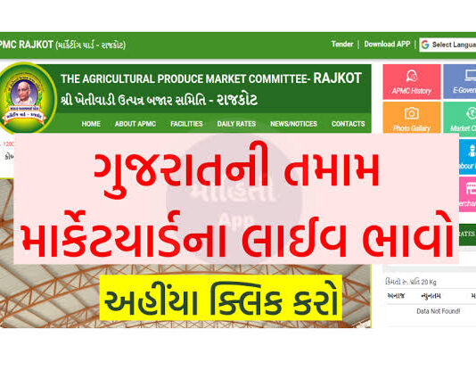 Easy Steps to Check APMC Market Yard Prices in Gujarat